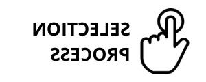 选择过程